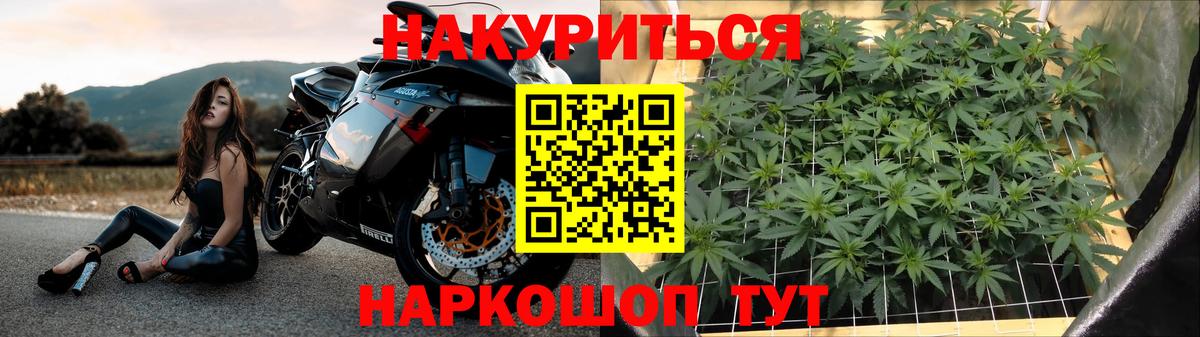 Каннабис планчик Уварово